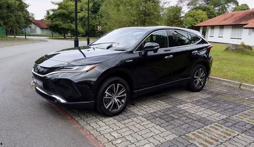 最新国产,新时代民族品牌的新篇章